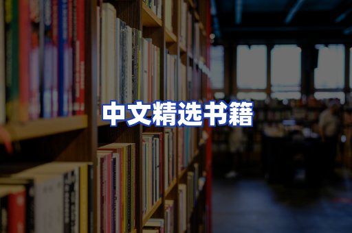 中文精选书籍
